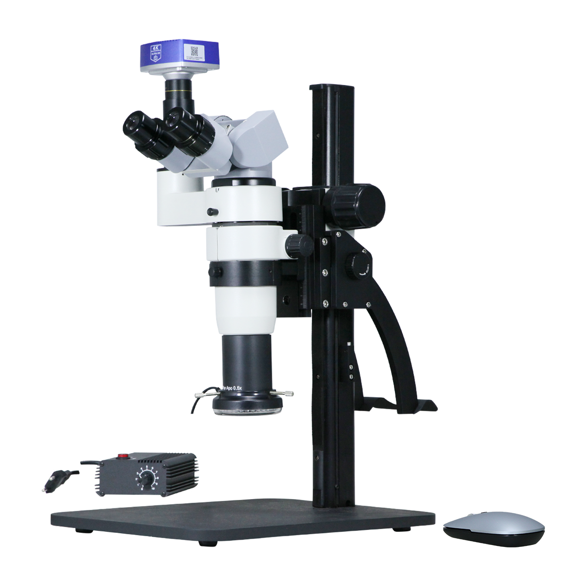 Stereo Microscope